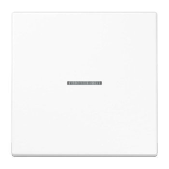 1 kl. apdaila su indikatoriumi LS990 JUNG LS990KO5WW (balta) 1 kl. apdaila su indikatoriumi LS990 JUNG LS990KO5WW (balta)