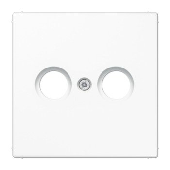 TV/R antenos lizdo / mechanizmo apdaila LS990 JUNG LS990TVWW (balta)