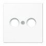 TV/R antenos lizdo / mechanizmo apdaila LS990 JUNG LS990TVWW (balta)