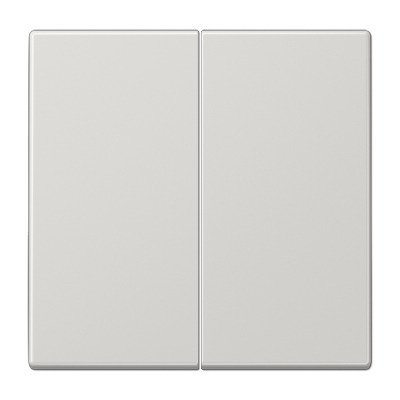 2 kl. apdaila LS990 JUNG LS995SW (pilka)