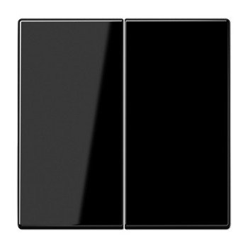 2 kl. apdaila LS990 JUNG LS995SW (juoda) 2 kl. apdaila LS990 JUNG LS995SW (juoda)