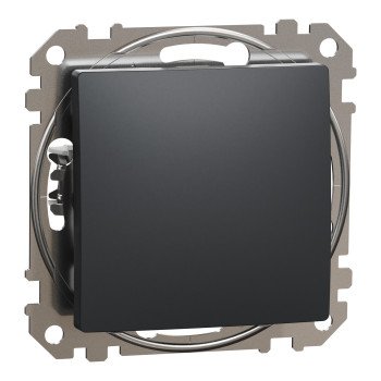 1 klavišo jungiklis Schneider Electric Sedna Design SDD114101 (antracitas)