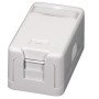 Virštinkinė vienvietė montavimo dėžutė EFB ET-25166 (1 x RJ45)