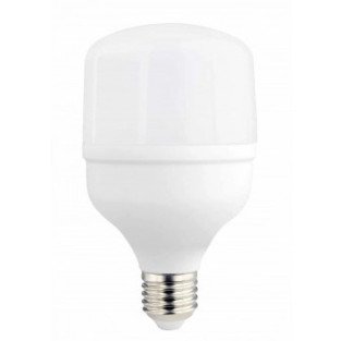 LED lemputė E27 T80 24W, šalta balta šviesa