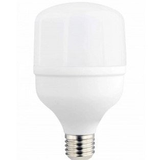 LED lemputė E27 T80 24W, šalta balta šviesa