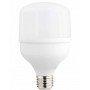 LED lemputė E27 T80 24W, neutrali balta šviesa