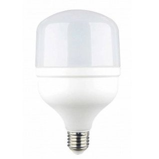 LED lemputė E27 T100 30W, šalta balta šviesa