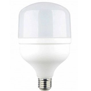 LED lemputė E27 T100 30W, šalta balta šviesa