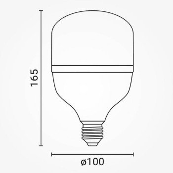 LED lemputė E27 T100 30W, šalta balta šviesa