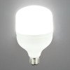 LED lemputė E27 T100 30W, šalta balta šviesa