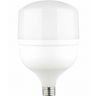 LED lemputė E27 T120 40W, šalta balta šviesa