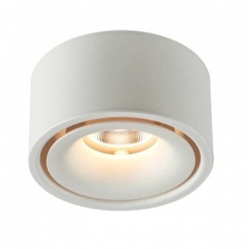 LED lubų šviestuvas, 10W, baltas, neutrali balta šviesa LED lubų šviestuvas, 10W, baltas, neutrali balta šviesa