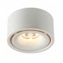 LED lubų šviestuvas, 10W, baltas, neutrali balta šviesa