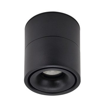 LED lubų šviestuvas, 12W, juodas, reguliuojamas, neutrali balta šviesa