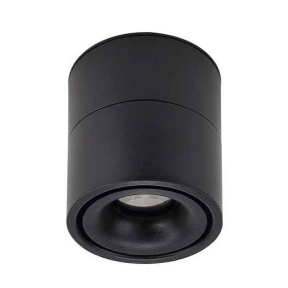 LED lubų šviestuvas, 12W, juodas, reguliuojamas, neutrali balta šviesa LED lubų šviestuvas, 12W, juodas, reguliuojamas, neutrali balta šviesa