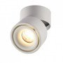 LED lubų šviestuvas, 12W, baltas, reguliuojamas, neutrali balta šviesa