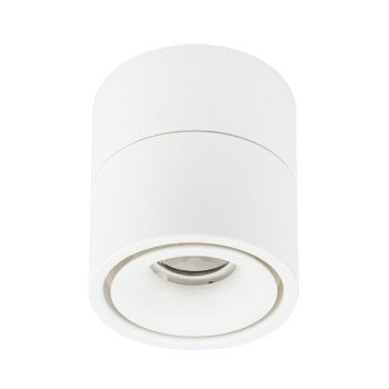 LED lubų šviestuvas, 12W, baltas, reguliuojamas, neutrali balta šviesa LED lubų šviestuvas, 12W, baltas, reguliuojamas, neutrali balta šviesa