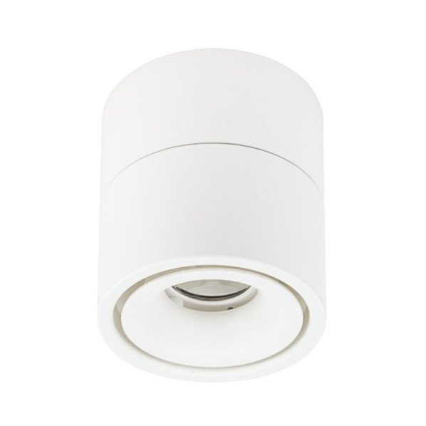 LED lubų šviestuvas, 12W, baltas, reguliuojamas, neutrali balta šviesa LED lubų šviestuvas, 12W, baltas, reguliuojamas, neutrali balta šviesa