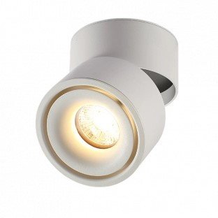 LED lubų šviestuvas, 12W, baltas, reguliuojamas, šilta balta šviesa