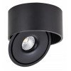 LED lubų šviestuvas, 30W, apvalus, reguliuojamas, juodas, CCT šviesa LED lubų šviestuvas, 30W, apvalus, reguliuojamas, juodas, CCT šviesa