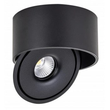 LED lubų šviestuvas, 30W, apvalus, reguliuojamas, juodas, CCT šviesa