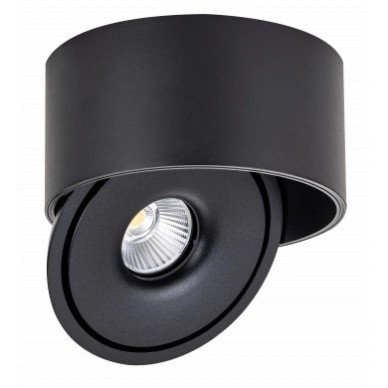 LED lubų šviestuvas, 30W, apvalus, reguliuojamas, juodas, CCT šviesa LED lubų šviestuvas, 30W, apvalus, reguliuojamas, juodas, CCT šviesa
