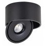 LED lubų šviestuvas, 30W, apvalus, reguliuojamas, juodas, CCT šviesa