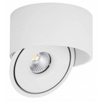 LED lubų šviestuvas, 30W, apvalus, reguliuojamas, baltas, CCT šviesa