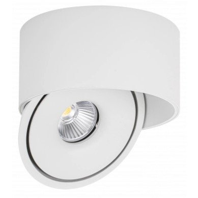 LED lubų šviestuvas, 30W, apvalus, reguliuojamas, baltas, CCT šviesa