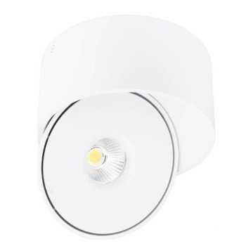 LED lubų šviestuvas, 30W, apvalus, reguliuojamas, baltas, CCT šviesa