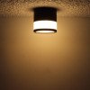 LED lubų šviestuvas, 7W, apvalus, juodas, šilta balta šviesa