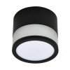 LED lubų šviestuvas, 12W, apvalus, juodas, šilta balta šviesa