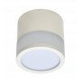 LED lubų šviestuvas, 12W, apvalus, baltas, šilta balta šviesa