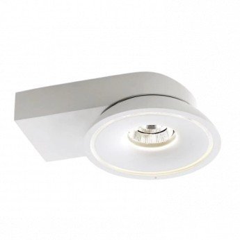 LED COB lubų šviestuvas, 15W, apvalus, baltas, CCT šviesa