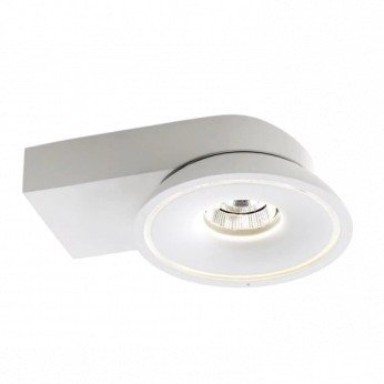 LED COB lubų šviestuvas, 15W, apvalus, baltas, CCT šviesa