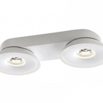 LED COB lubų šviestuvas, 2x15W, apvalus, baltas, CCT šviesa