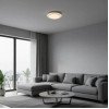 LED lubų šviestuvas, 12W, baltas/sidabrinis, CCT šviesa