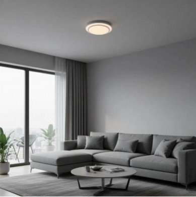 LED lubų šviestuvas, 12W, baltas/sidabrinis, CCT šviesa