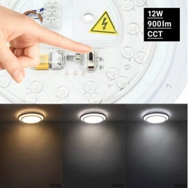 LED lubų šviestuvas, 12W, baltas/sidabrinis, CCT šviesa