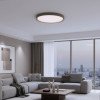 LED lubų šviestuvas, 36W, baltas/pilkas, CCT šviesa
