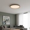LED lubų šviestuvas, 36W, baltas/pilkai rudas, CCT šviesa