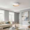 LED lubų šviestuvas, 36W, baltas/medžio, CCT šviesa LED lubų šviestuvas, 36W, baltas/medžio, CCT šviesa