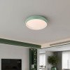 LED lubų šviestuvas, 24W, baltas/pilkai žalsvas, CCT šviesa