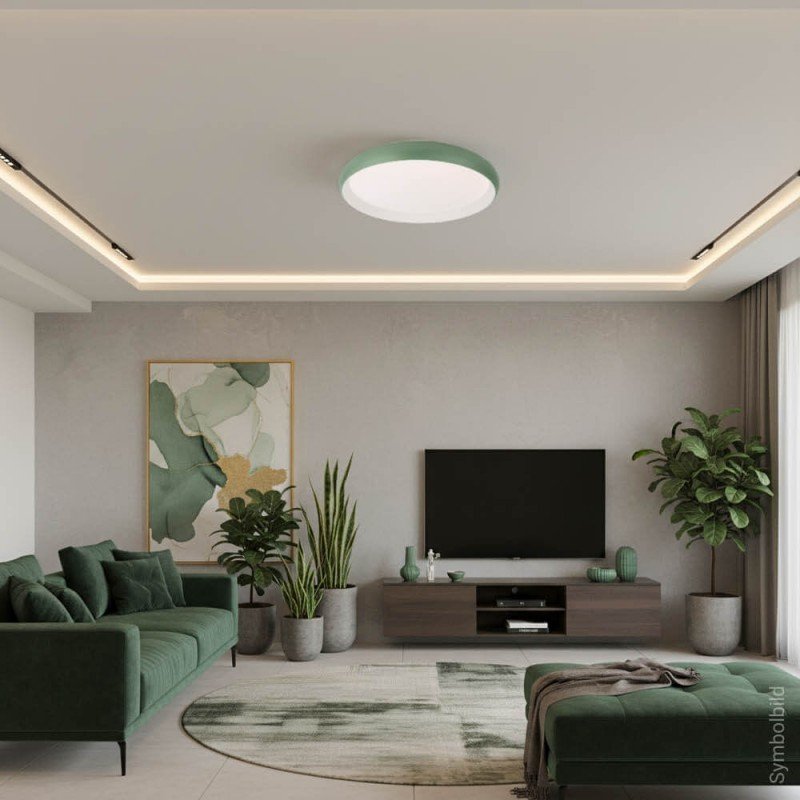 LED lubų šviestuvas, 24W, baltas/pilkai žalsvas, CCT šviesa