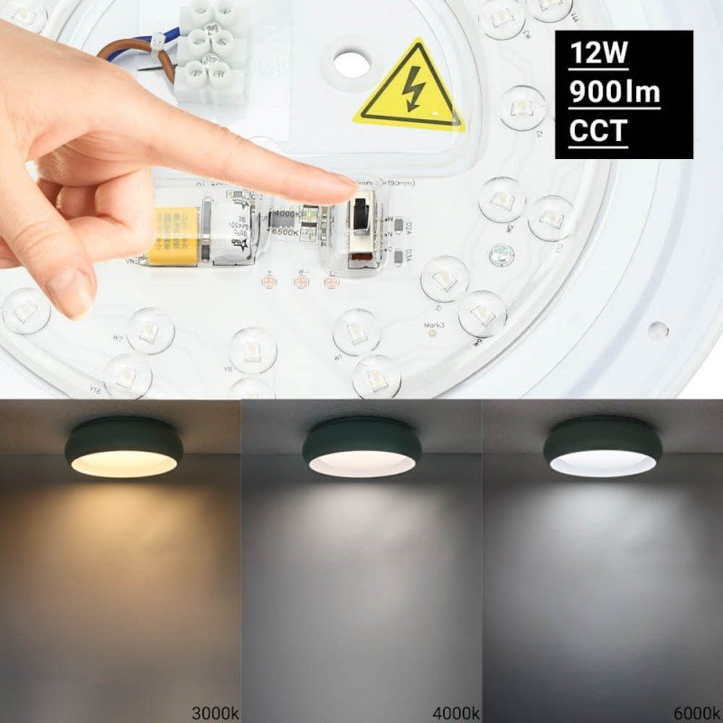 LED lubų šviestuvas, 12W, baltas/pilkai žydras, CCT šviesa