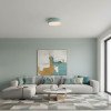 LED lubų šviestuvas, 12W, baltas/pilkai žydras, CCT šviesa