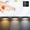 LED lubų šviestuvas, 24W, baltas/medžio, CCT šviesa