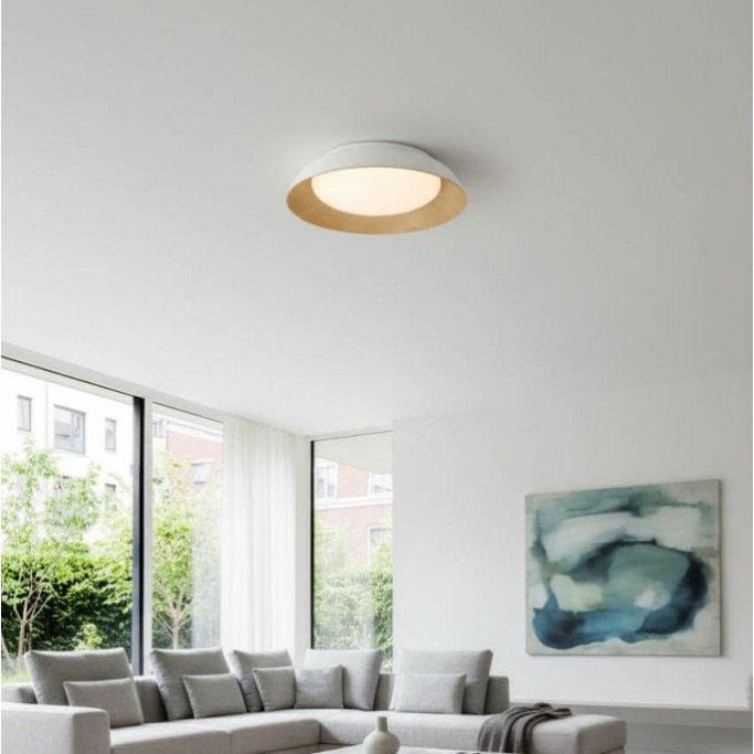 LED lubų šviestuvas, 24W, baltas/medžio, CCT šviesa