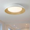 LED lubų šviestuvas, 24W, baltas/medžio, CCT šviesa