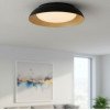 LED lubų šviestuvas, 24W, baltas/juodas/medžio, CCT šviesa